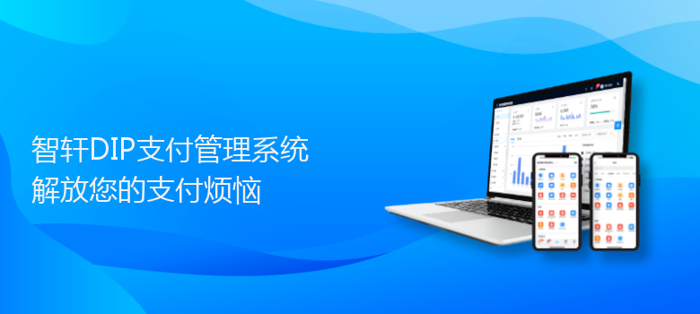 DIP支付管理系统